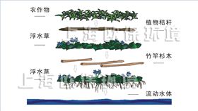 农业浮岛,农业种植浮岛,生态浮岛,生态浮床,生物浮岛,人工浮岛,人工浮床,生物浮床