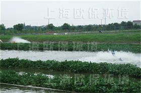 农业浮岛,农业种植浮岛,生态浮岛,生态浮床,生物浮岛,人工浮岛,人工浮床,生物浮床