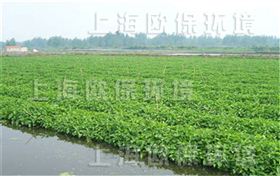 农业浮岛,农业种植浮岛,生态浮岛,生态浮床,生物浮岛,人工浮岛,人工浮床,生物浮床