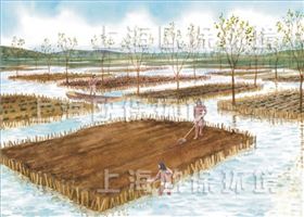 农业浮岛,农业种植浮岛,生态浮岛,生态浮床,生物浮岛,人工浮岛,人工浮床,生物浮床