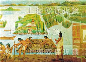 农业浮岛,农业种植浮岛,生态浮岛,生态浮床,生物浮岛,人工浮岛,人工浮床,生物浮床