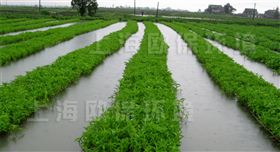 农业浮岛,农业种植浮岛,生态浮岛,生态浮床,生物浮岛,人工浮岛,人工浮床,生物浮床