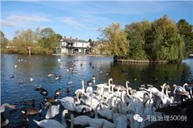 英国泰晤士河生态治理 英国泰晤士河生态治理