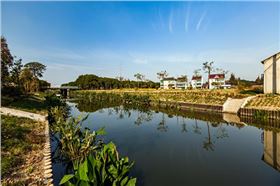 上海金山完成185条段河道整治任务?已基本消除黑臭