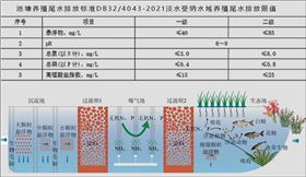 水产养殖尾水处理，三池两坝工艺