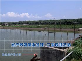 水产养殖尾水、三池两坝、尾水排放，环境法典