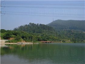 底泥改良剂在水库中的应用