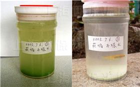 在24小时后水体澄清，而且在水中的鱼儿依然活跃