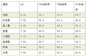 表3 污水停留第五天不同植物对污水中各污染物的去除效果