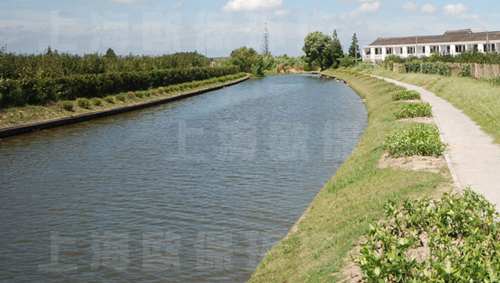 速效消除黑臭剂