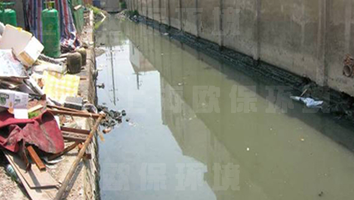 治理前，污染严重、呈黑臭状态，能见度为0