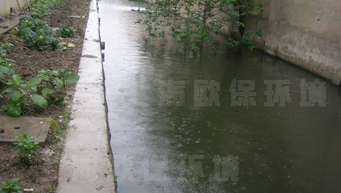 治理后,水体恢复自然色、无臭味散发，能见度大于50cm