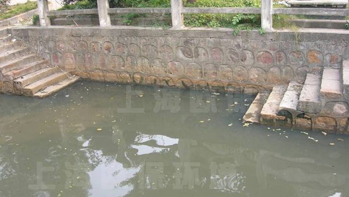 处理前水体严重黑臭，透明度及溶解氧几乎为零