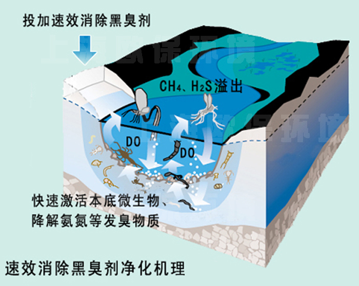 速效消除黑臭剂净化机理