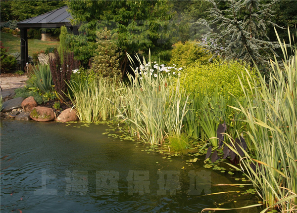 防渗底景观湖、池常年清澈见底的四种方式