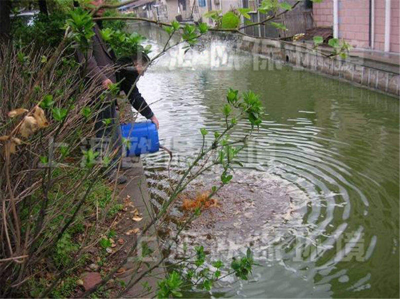 速效消除黑臭剂