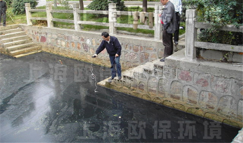 速效消除黑臭剂