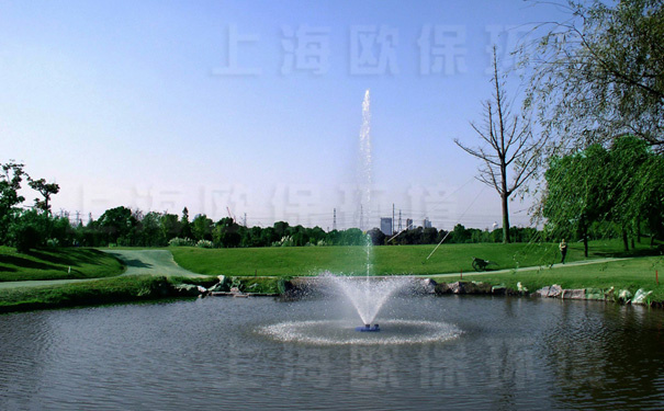 浮水喷泉式曝气机,浮水喷泉,漂浮喷泉,喷泉曝气机,喷泉增氧机