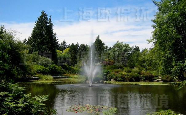 浮水喷泉式曝气机,浮水喷泉,漂浮喷泉,喷泉曝气机,喷泉增氧机