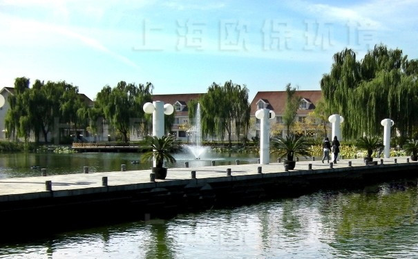 浮水喷泉式曝气机,浮水喷泉,漂浮喷泉,喷泉曝气机,喷泉增氧机