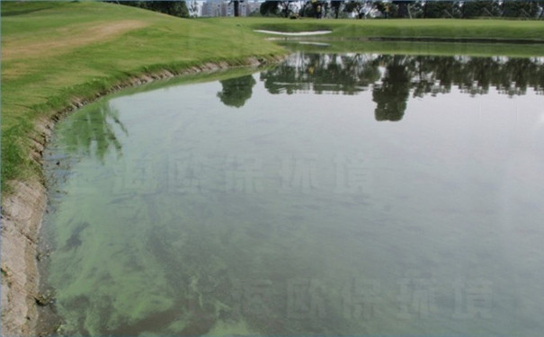 浮水喷泉式曝气机,浮水喷泉,漂浮喷泉,喷泉曝气机,喷泉增氧机