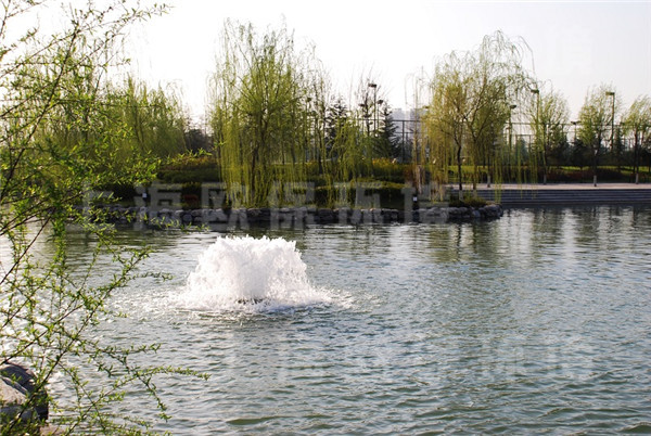 人工湖治理,景观水处理