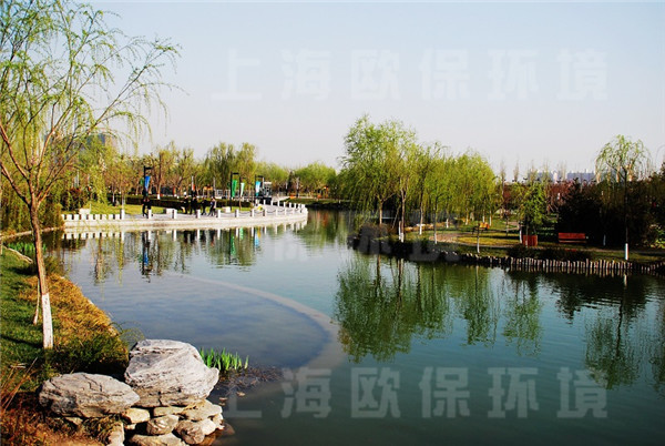 西安城市运动公园人工湖治理图片