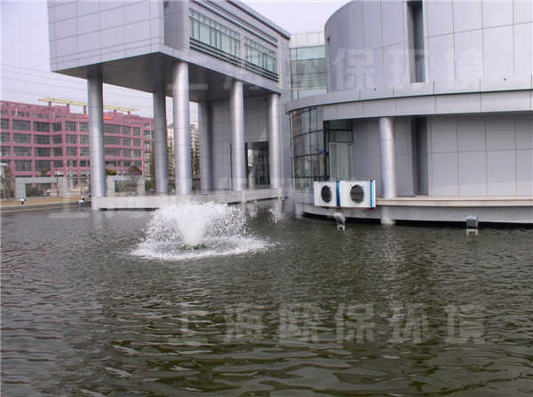 提水曝气机在景观水池水处理中的应用