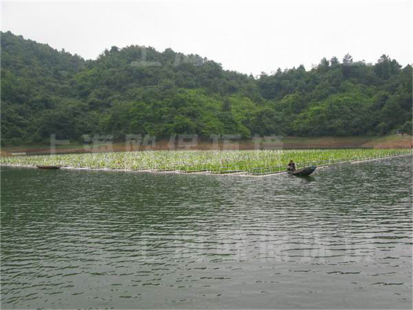 贵阳百花湖，湖泊治理