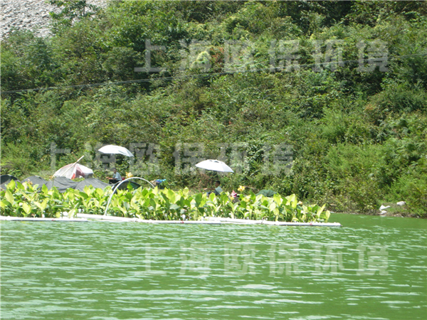 红枫湖,湖泊治理 红枫湖,湖泊治理