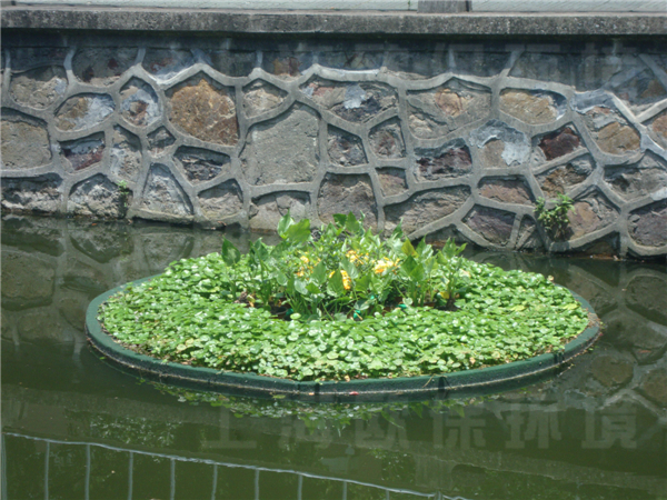 华东理工大学校园河道治理-生态浮岛种植初期-样式三