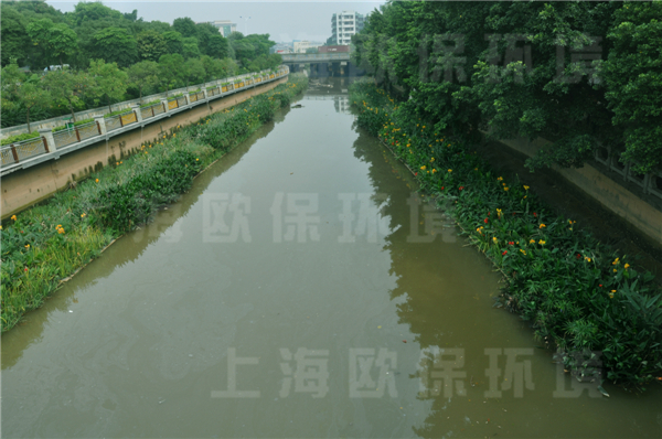 生态浮岛应用于广州汾江河治理
