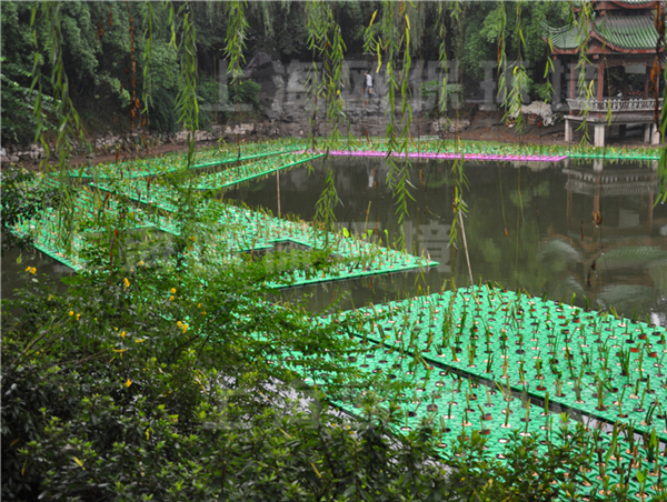 云南某公园正在种植中的抗风浪型生态浮岛