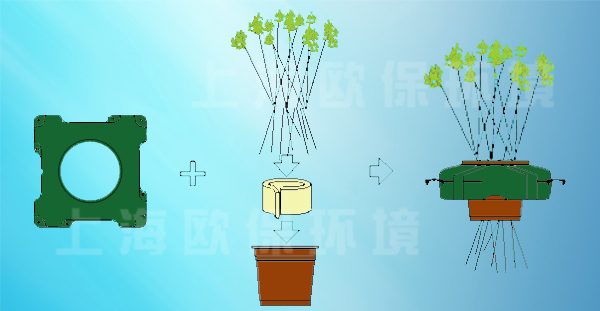 复氧型生态浮岛植物种植安装方式