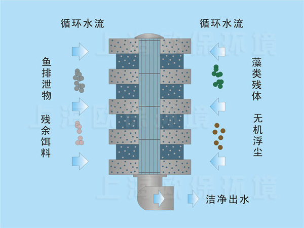 箱式生物过滤单元净水机理