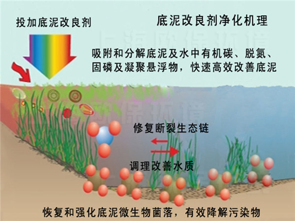 底泥改良剂净水机理