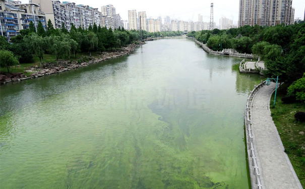 城市河道景观水已经受到污染