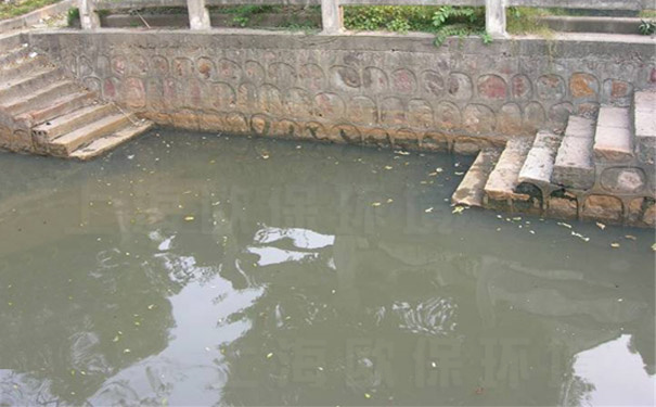 使用速效黑臭消除剂治理15日后