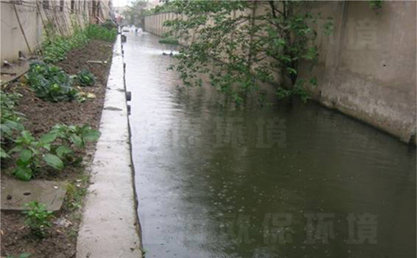 使用速效黑臭消除剂治理后