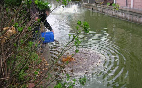 速效黑臭消除剂采用直接泼洒方式