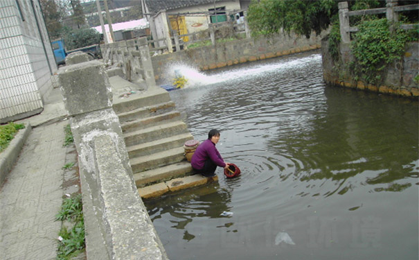使用速效黑臭消除剂治理9周后