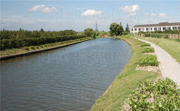 速效黑臭消除剂在河道中的应用（二）