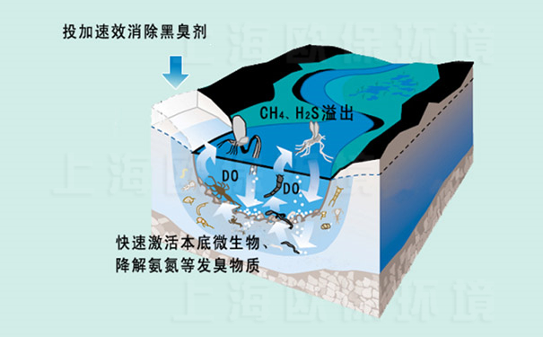 速效黑臭消除剂净化机理