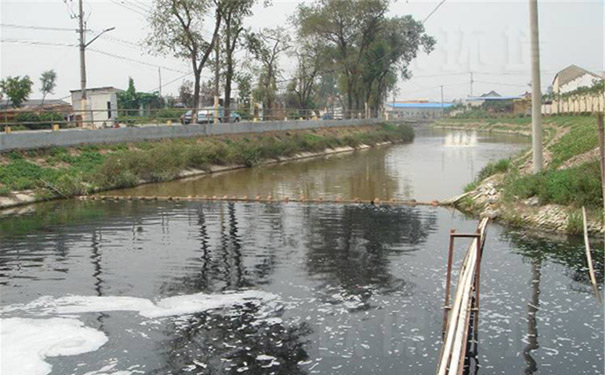 速效黑臭消除剂在河道中的应用（一）