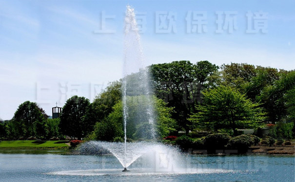 浮水喷泉式曝气机带中心水柱