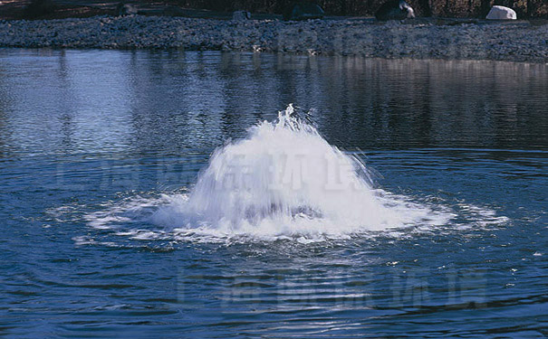 涌泉曝气机在公园人工湖中应用