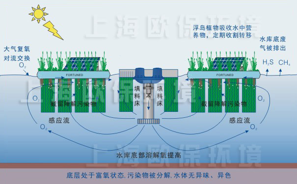 水库生态修复装置-工作及净水原理图