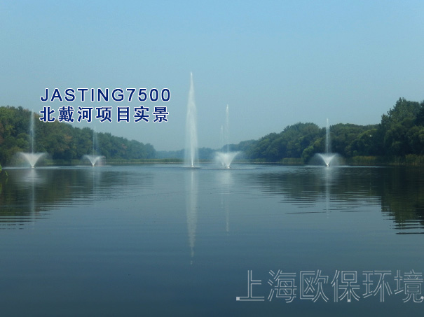  JASTING7500喷泉曝气机