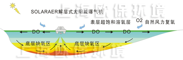 解层式太阳能曝气机运行初期