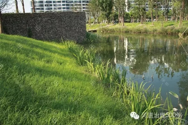 自然岸线-河道生态治理